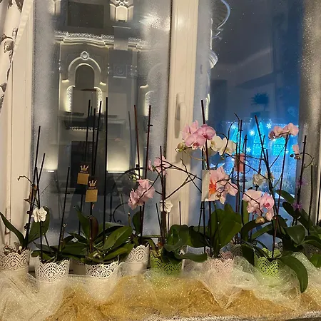 Blue Light Ultracentral Apartment