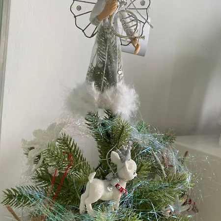 Blue Light Ultracentral * Craiova