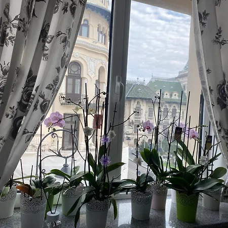 Blue Light Ultracentral