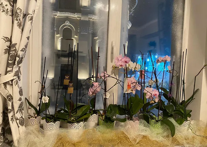 Blue Light Ultracentral Apartament